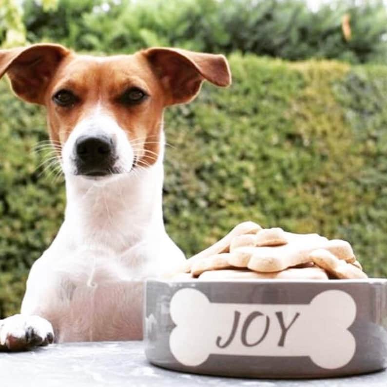 gift small dog bowl personalised dog dish personalised dog bowl dog bowl ceramic dog bowl personalised dog bone bowl dog food bowl