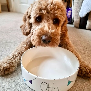 Medium dog bowl, personalised dog bowl, ceramic dog bowl, dog bowl, dog food bowl, bunting, seaside, personalised dog gift, custom dog bowl