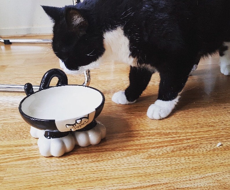 Elevated Cat Bowl Raised Cat Bowl Personalised Cat Bowl Cat Etsy