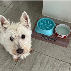 May include: A white West Highland White Terrier dog looking at the camera. The dog is standing on a wooden pet food mat with two bowls. One bowl is blue and has a maze design. The other bowl is red with white bone designs. The mat has the name "Poppy" engraved on it.