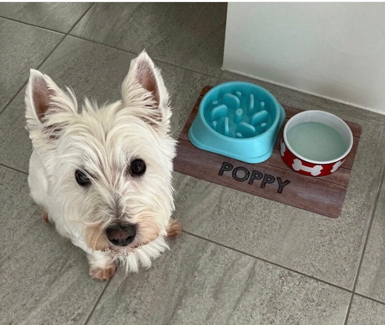 May include: A white West Highland White Terrier dog looking at the camera. The dog is standing on a wooden pet food mat with two bowls. One bowl is blue and has a maze design. The other bowl is red with white bone designs. The mat has the name "Poppy" engraved on it.
