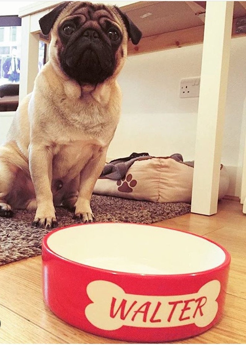 Small Dog Bowl Dog Bowl Personalised Dog Bowl Ceramic Dog Etsy