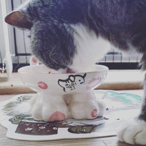 personalised cat bowl, cat bowl, cat bowl with name, cat bowl ceramic, personalised cat gift, raised cat bowl, elevated cat bowl, cat dish zdjęcie 5