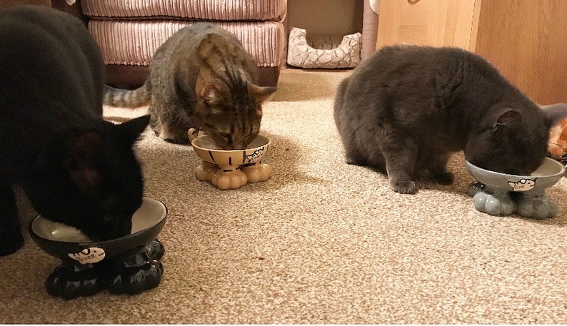 May include: Three cats eating from cat bowls with paw-shaped bases. The bowls are black, beige, and gray. The cats are black, tabby, and gray.