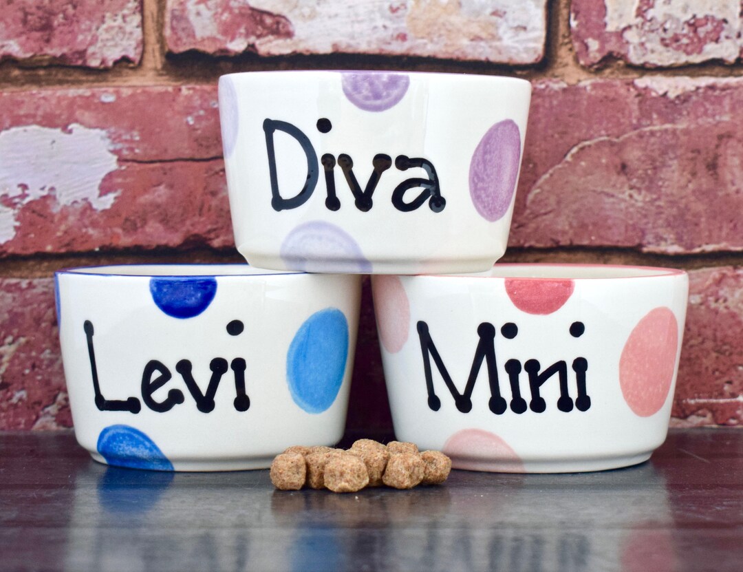 Extra Small Dog Bowl Ceramic Dog Bowl Chihuahua Bowl Dog Etsy