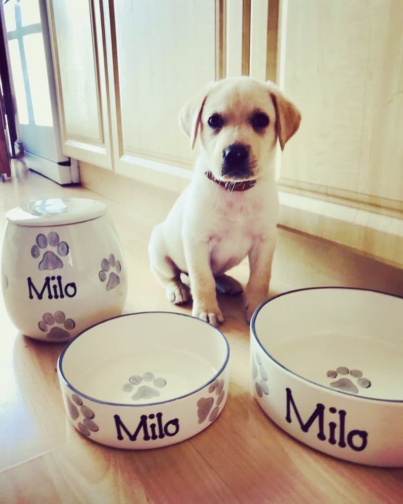 May include: A white ceramic dog bowl with the name "Milo" printed on it. The bowl has a grey paw print design. A yellow Labrador puppy is sitting in front of the bowl. There is a matching ceramic food jar with the name "Milo" printed on it.