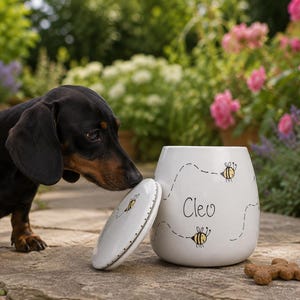 May include: A black and tan dachshund stands next to a white ceramic treat jar with a matching lid. The jar features hand-painted yellow and black bees, dashed flight paths, and the name Cleo written in black script. A bone-shaped treat lies nearby.