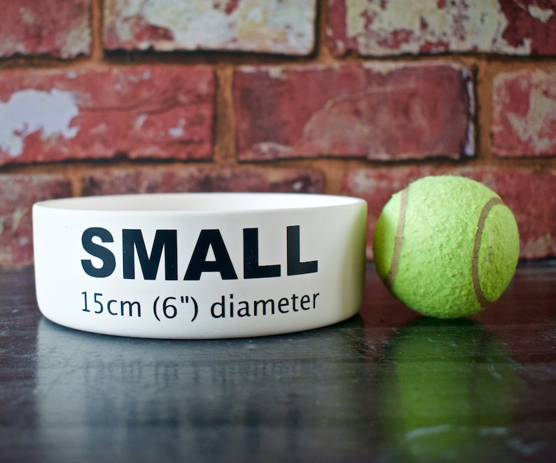Small Dog Bowl Personalised Dog Bowl Ceramic Dog Bowl Etsy