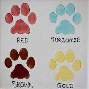 May include: Four paw prints painted on a white tile surface. The paw prints are red, turquoise, brown, and gold. The colors are labeled below each paw print.