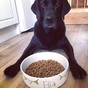 May include: A black Labrador Retriever dog sits next to a white ceramic dog bowl with brown dog food. The bowl has a green and white bunting design and the name "Ella" written on it.