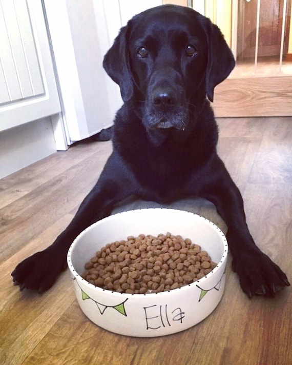 25cm ceramic dog bowl Sebastio - Dog Bowl