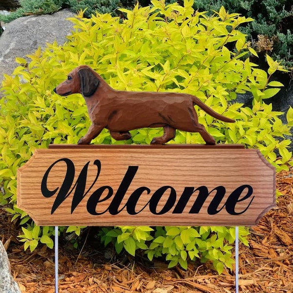 Dachshund Welcome Stakes