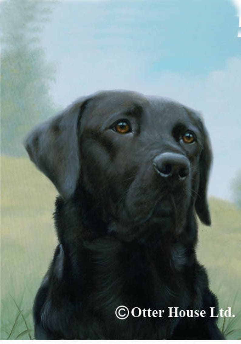 Labrador Retriever House Flags Etsy