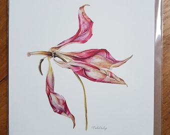 Botanical Greeting Card - Faded tulip