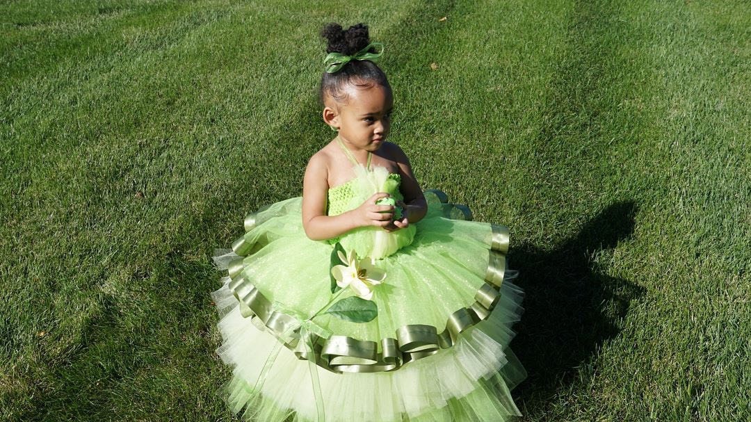 disney princess tutu