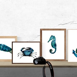 nautical print set, sea life art prints, nautical wall art, watercolor nautical art