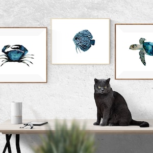 Ocean life print set, Nautical art set, Sea life prints, Nautical wall art