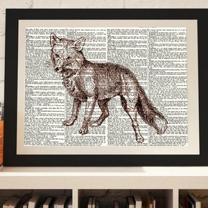 Fox print, fox illustration, vintage fox, dictionary prints, animal print