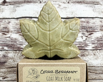 Cedarwood Bergamot Goat Milk Soap: Tallow + Lard Soap, Maple Leaf and Acorns