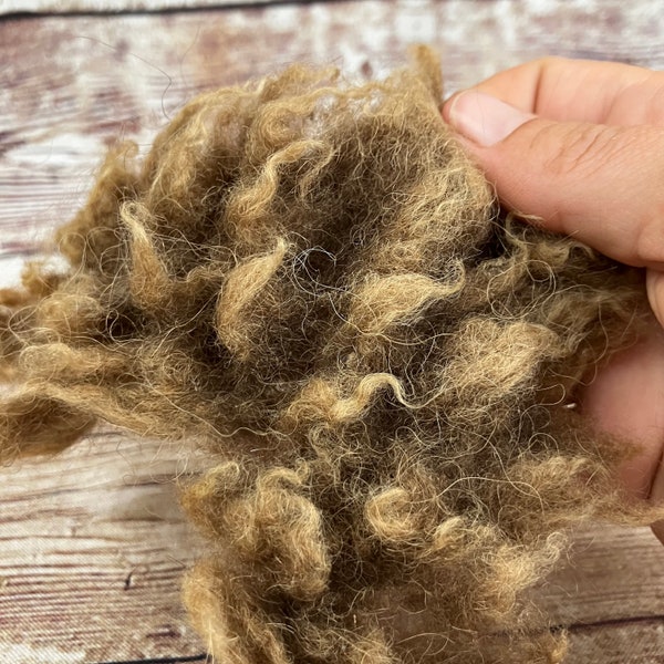 Raw Buffalo Bison Wool 1 oz, Exotic Luxury Fiber for Spinners