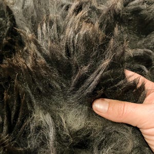 Alpaca Fleece, Skirted 2.2 Lb Huacaya True Black - Skirted Unwashed Natural Alpaca Fleece for Spinning or Felting