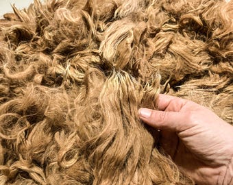 2.25 Lb Fawn Alpaca Fleece: Huacaya-Suri Cross, Martina, Skirted Unwashed for Spinning
