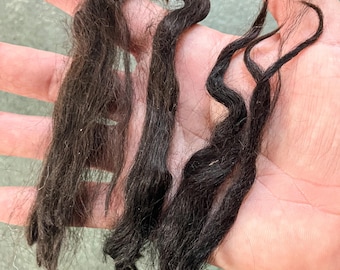 Skirted Bay-Black Alpaca Fleece: Huacaya-Suri Cross, Waylon, for Spinning or Crafting