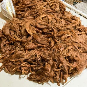 May include: A large pile of brown alpaca fiber. The fiber is soft and fluffy, and it is perfect for spinning or felting.