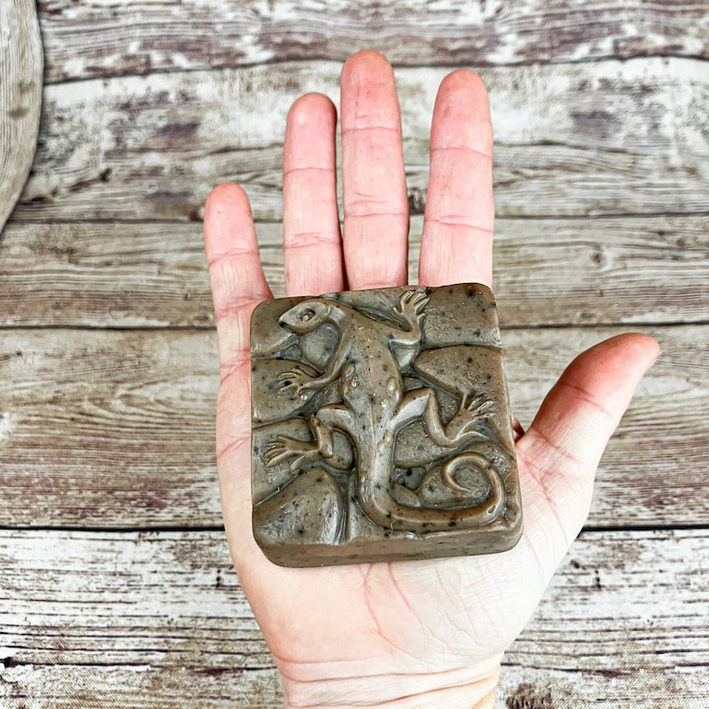 Puede incluir: Una pastilla de jab&oacute;n marr&oacute;n y gris con un dise&ntilde;o en relieve de un lagarto. El jab&oacute;n est&aacute; en la palma de una mano.