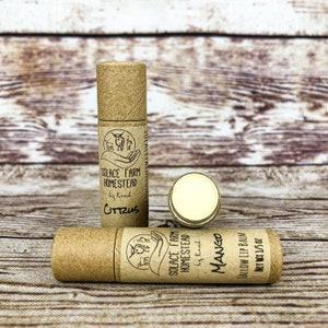 Tallow Lip Balm, Plastic-Free - Natural Nourishing Lip Balm in in Recyclable, Compostable Paper Eco-Tube Packaging