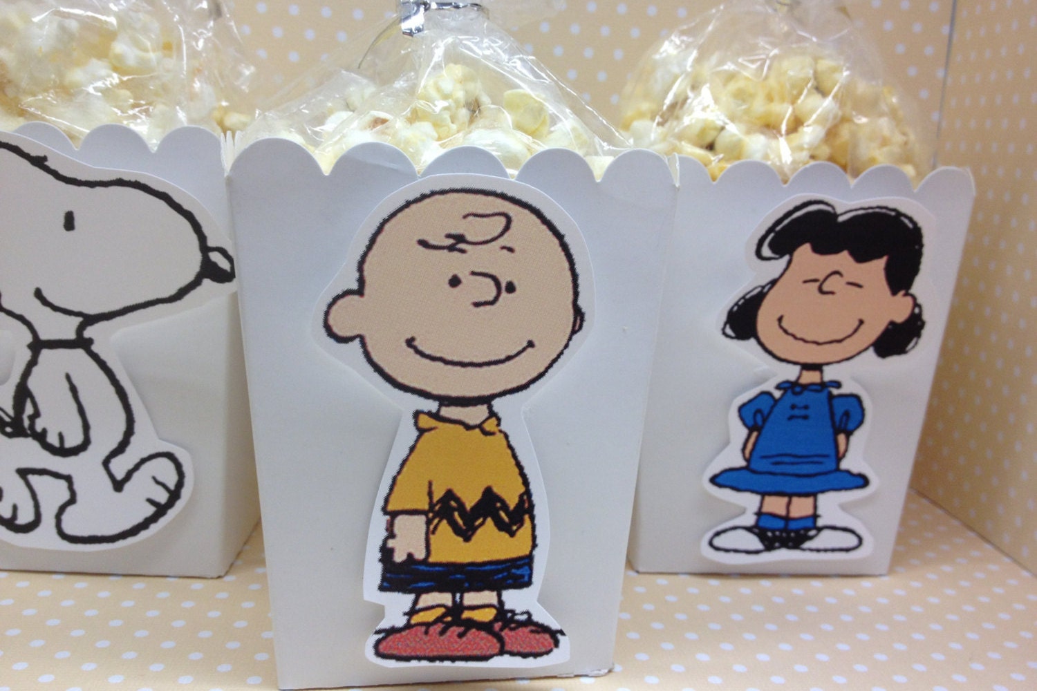 Peanuts Charlie Brown Snoopy Party Popcorn or Favor Boxes Etsy