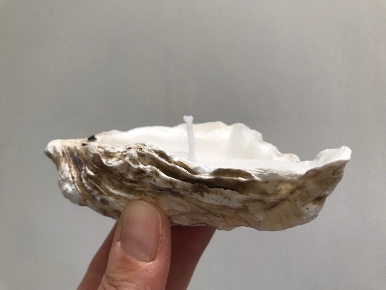 Whitstable Oyster Shell Candle, Recycled Oyster Shell Candle, Large Shell Candle Tea Light, Beach Candle, Shell Candle Gift image 3