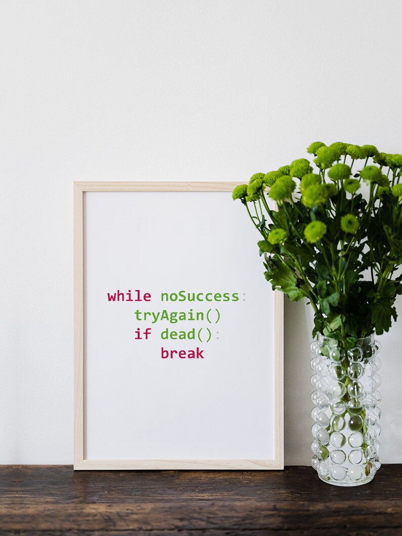 May include: A framed print with a white background and a code snippet in green and red text that reads "while noSuccess: tryAgain() if dead(): break". The print is sitting on a wooden table next to a clear glass vase with green flowers.