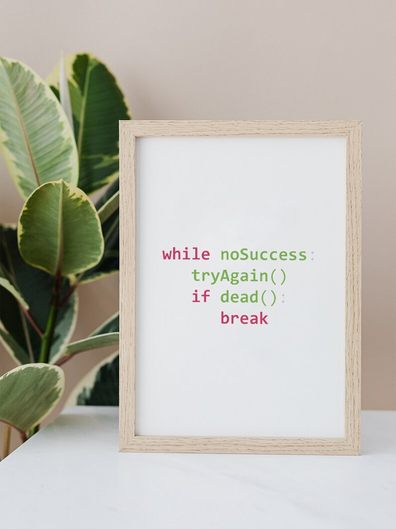 May include: A framed print with a light wood frame and a white background. The print features a code snippet that reads "while noSuccess: tryAgain() if dead(): break".