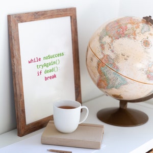 May include: A framed white board with the code "while noSuccess: tryAgain() if dead(): break" written in green and pink. A globe, a cup of tea, a book, and a pencil are on a white shelf.