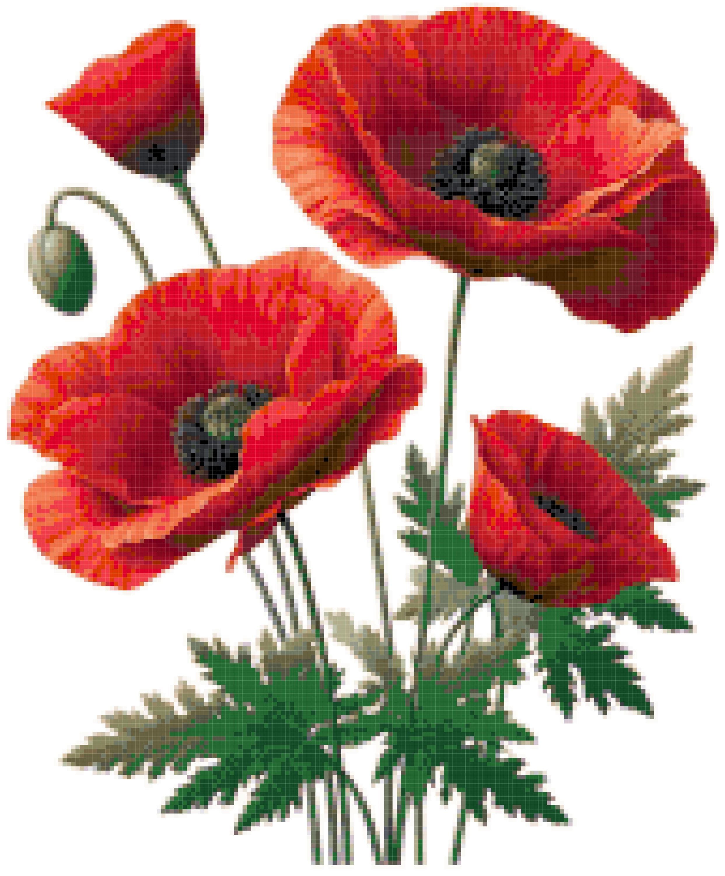 Red Poppies Counted Cross Stitch Pattern PDF Download Floral Nature - Etsy