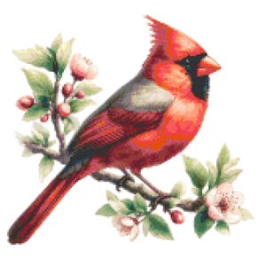 Puede incluir: Ilustración en acuarela de un cardenal rojo posado en una rama florecida. El ave tiene una máscara negra y una cresta. La rama presenta hojas verdes, flores rosas y pequeñas bayas rojas, sobre un fondo blanco.
