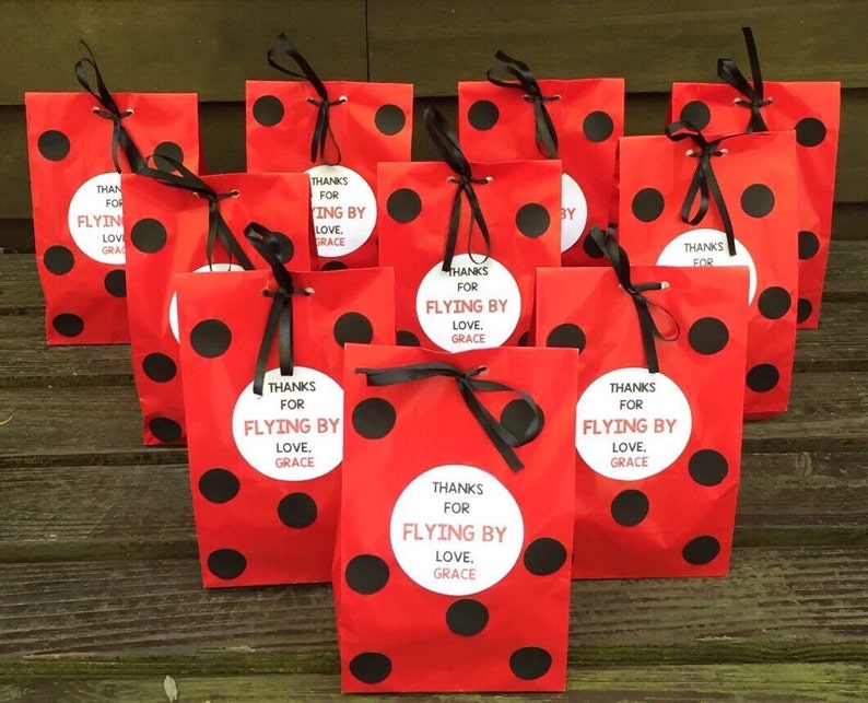 Personalized Ladybug Birthday Party Favor Bags Ladybug Treat Etsy