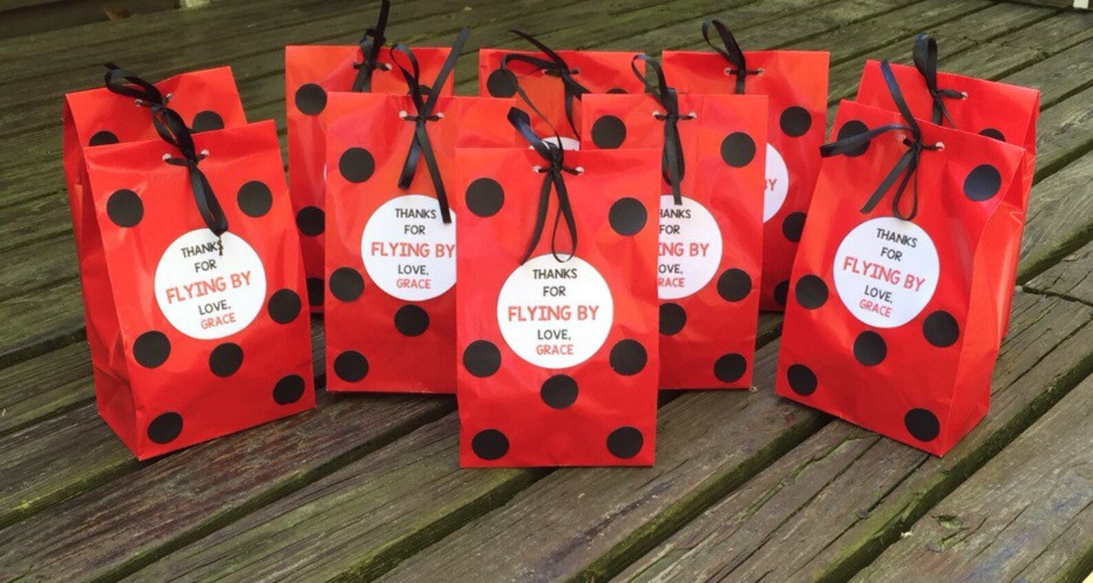 Personalized Ladybug Birthday Party Favor Bags Ladybug Treat Etsy