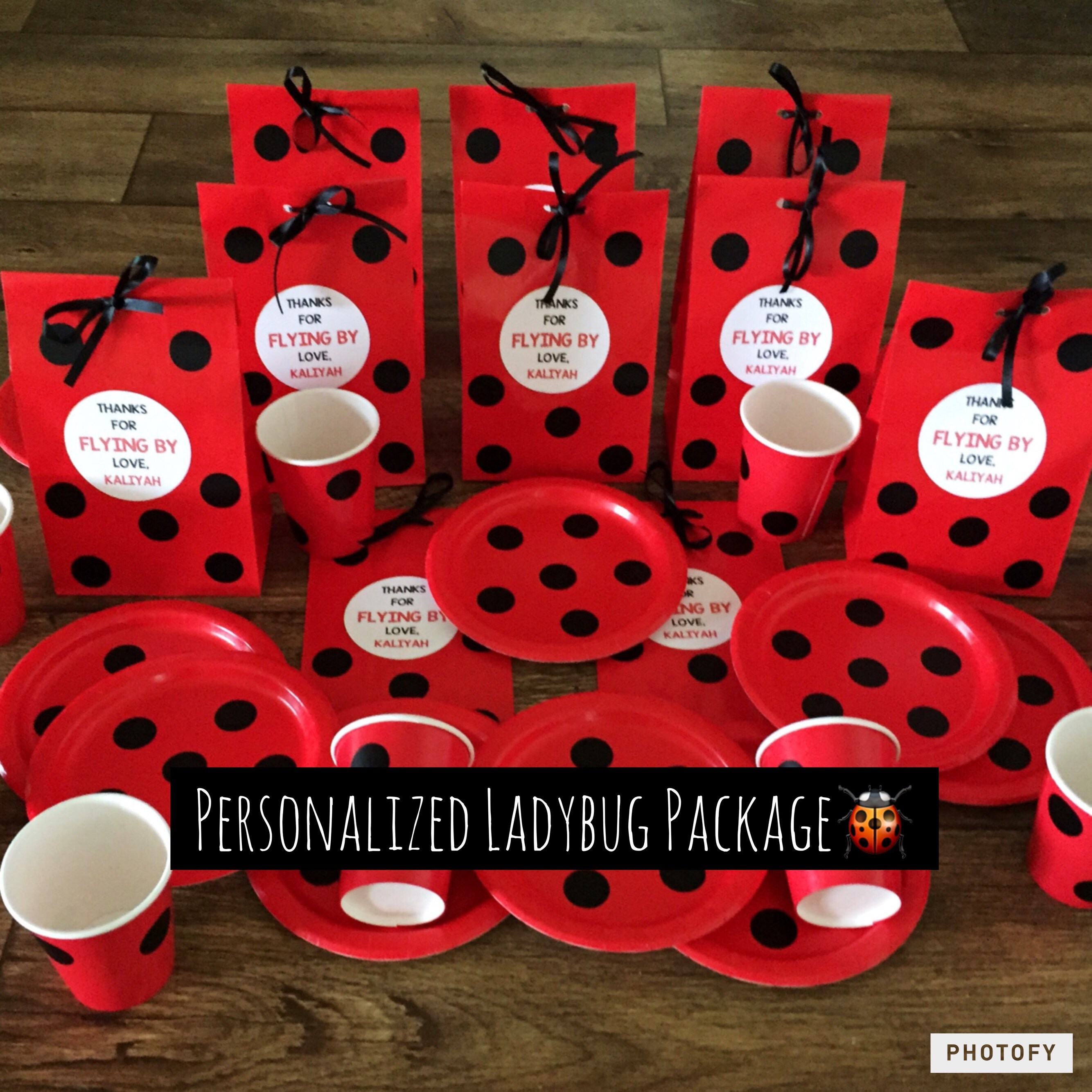 Personalized Ladybug Birthday Party Favor Bags Ladybug Treat Etsy