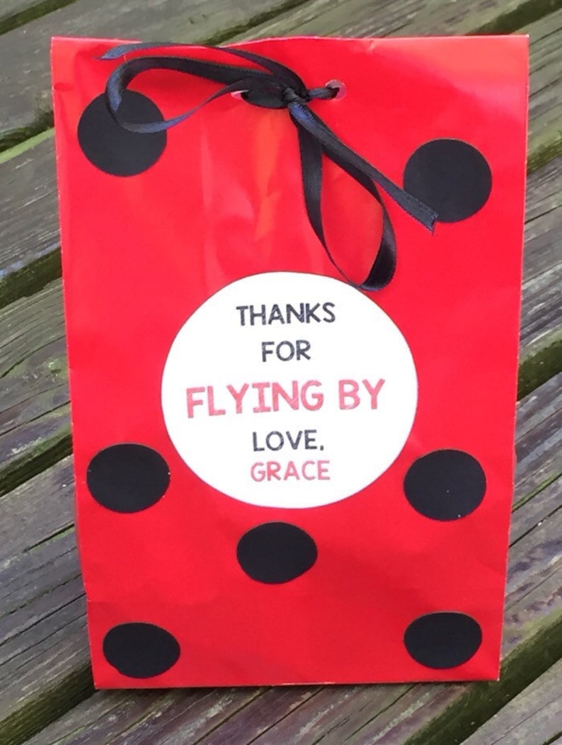Personalized Ladybug Birthday Party Favor Bags Ladybug Treat Etsy