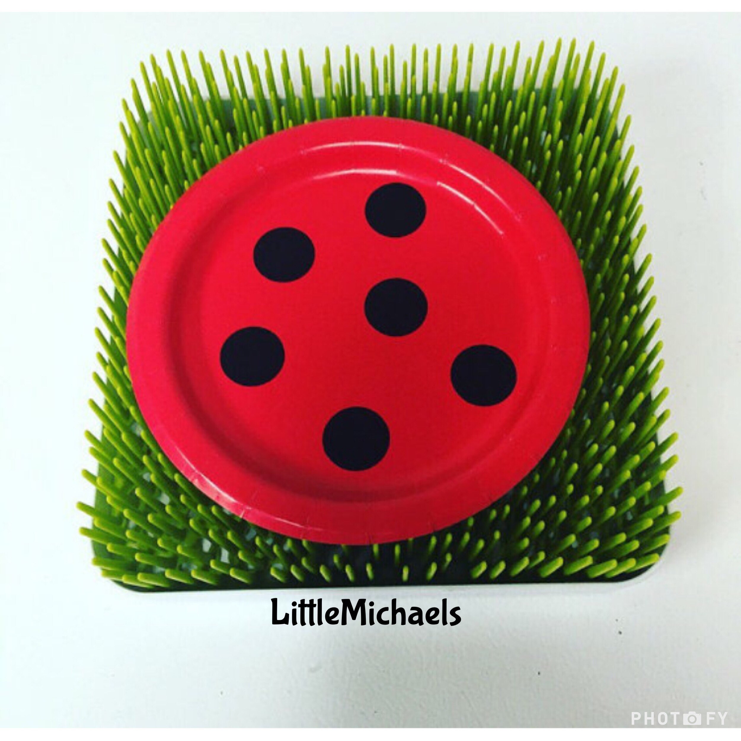 Ladybug Birthday Party Cups Plates Napkins Ladybug Baby Etsy