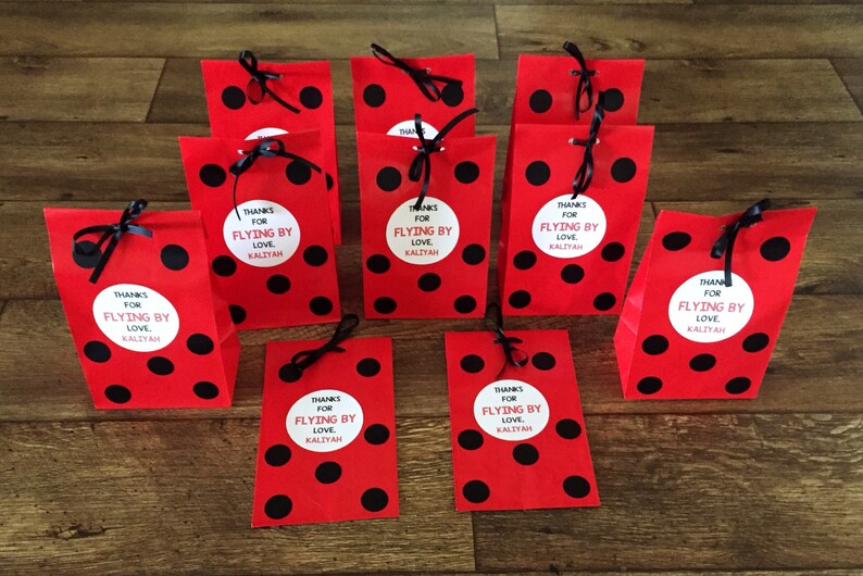 Personalized Ladybug Birthday Party Favor Bags Ladybug Treat Etsy