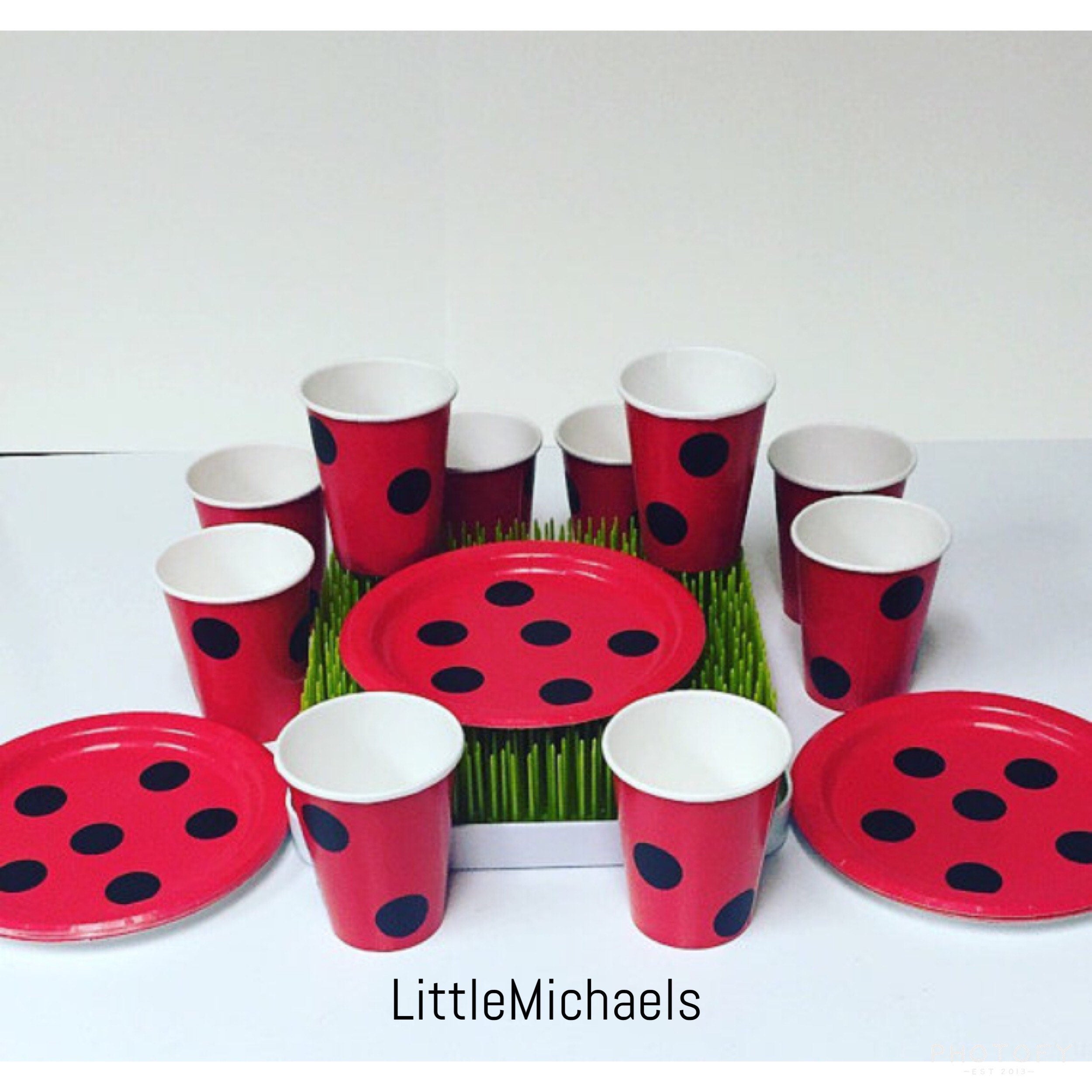 Ladybug Birthday Party Cups Plates Napkins Ladybug Baby Etsy