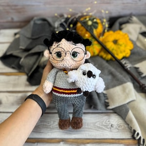 Harry wizard boy and owl/ magic witch boy/ set of stuffed toy/ amigurumi handmade crochet doll plushies/ gift for Christmas