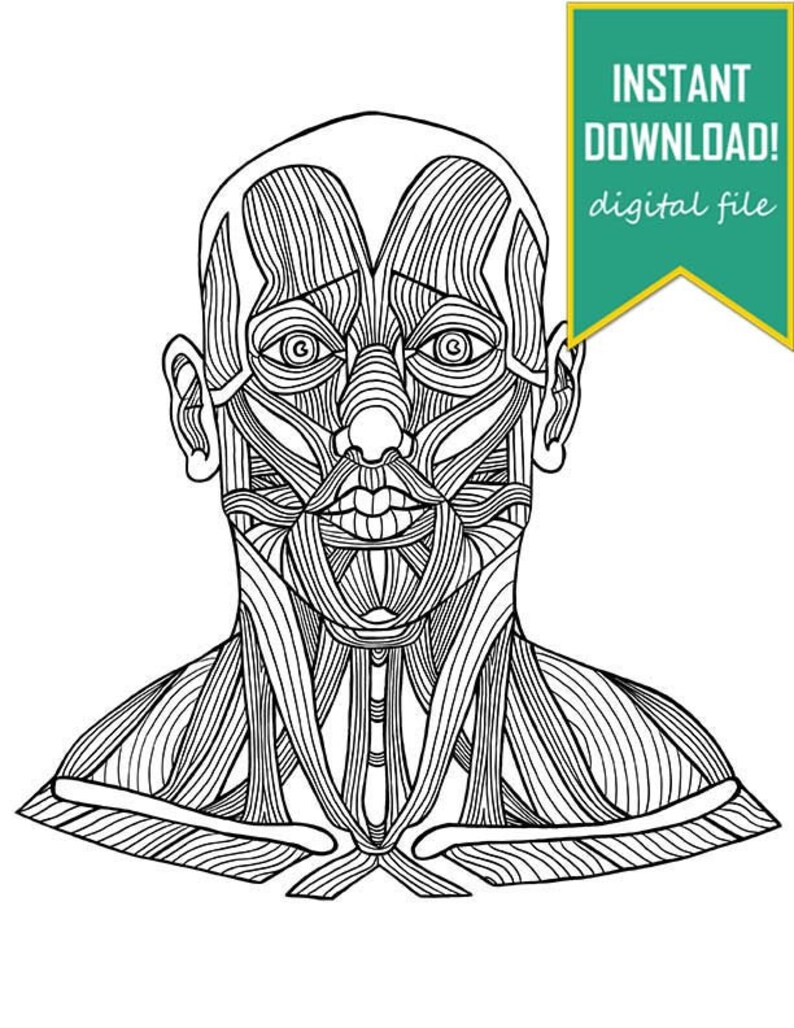 Anatomy Coloring Page Instant Download - Etsy