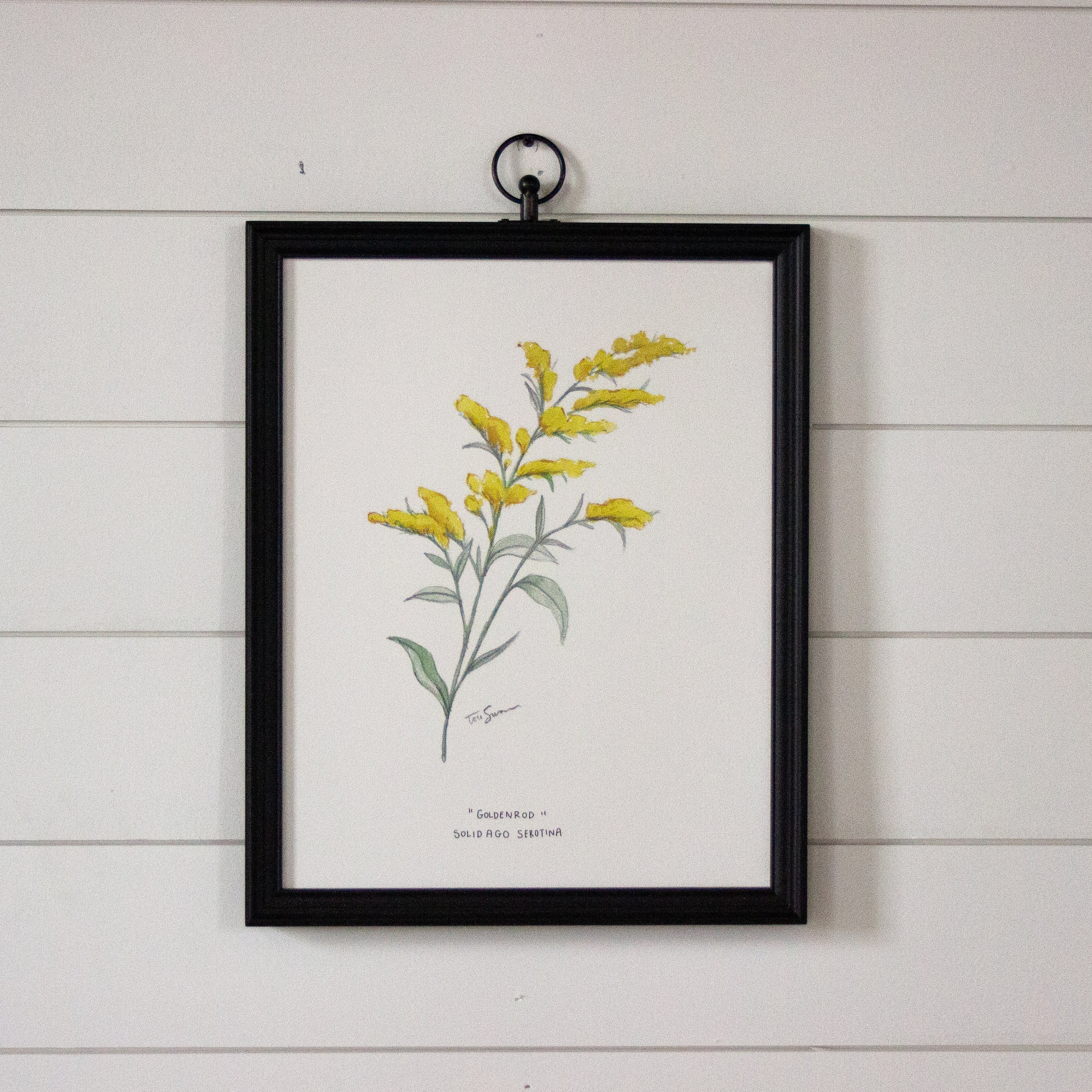 Goldenrod Watercolor Art Print — tori denae