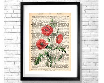 POPPIES Drawing Print - Red Poppy Flowers Botanical Watercolor Illustration on an Old Dictionary Page Background Art Print Poster