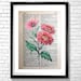 see more listings in the FLOWER ALPAHABET Prints section