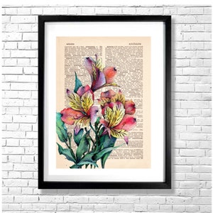 ALSTROEMERIA Print on Vintage Dictionary Page - Pink Magenta Yellow Flowers Botanical Watercolor Illustration on an Old Book Page Background
